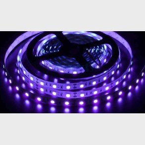 UV , 382-385nm, 10w/m, 120Led/m, IP20